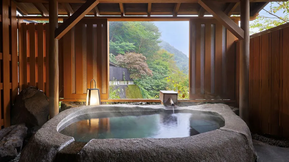 Shima Onsen Shikanosakino-yu Tsuruy