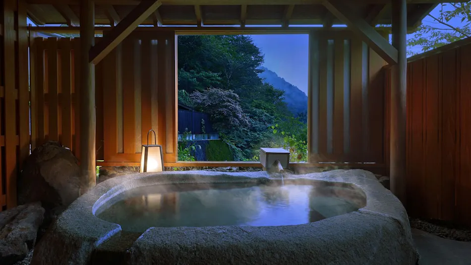 Shima Onsen Shikanosakino-yu Tsuruy