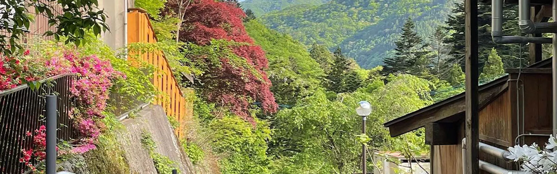 四万温泉 鹿覗きの湯 つるや