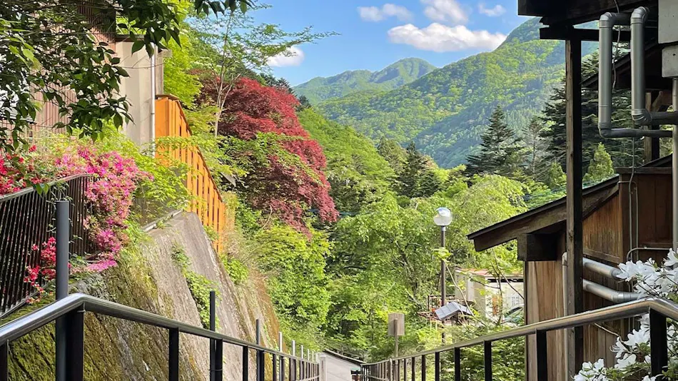Shima Onsen Shikanosakino-yu Tsuruy