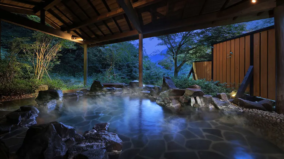 Shima Onsen Shikanosakino-yu Tsuruy