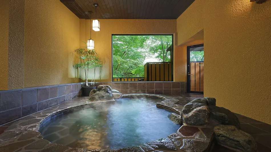 Shima Onsen Shikanosakino-yu Tsuruy