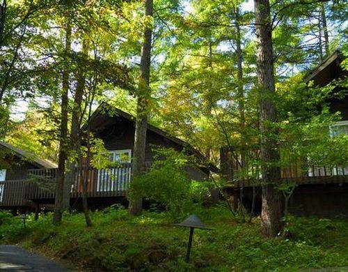 テラスヴィラエリアの風景