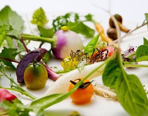 ブレストンコート ユカワタン