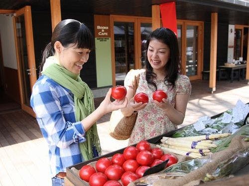 ハルニレテラス、季節のマルシェ