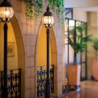 全国 東京ディズニーリゾート チケット付プラン 一度は泊まりたい 全国 東京ディズニーリゾート チケット付プラン 人気ホテル 旅館 21年 一休 Com 全国 東京ディズニーリゾート チケット付プラン 一度は泊まりたい 全国 東京ディズニーリゾート チケット付プラン 人気ホテル 旅館 21年 一休 Com