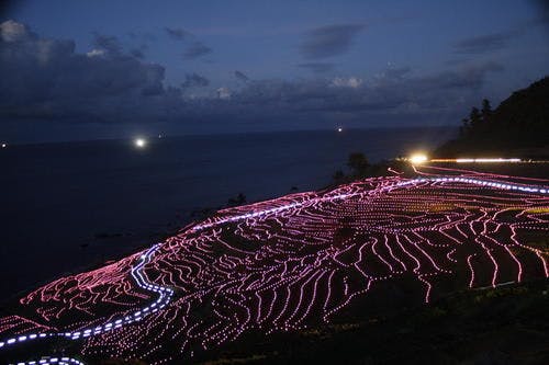 世界農業遺産　千枚田のイルミネーション