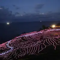 世界農業遺産 千枚田のイルミネーション