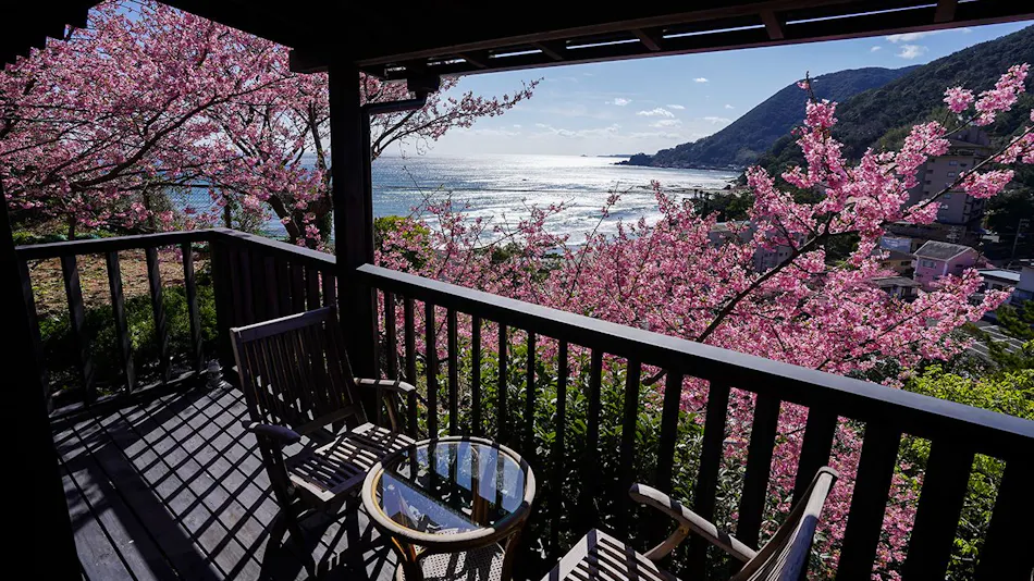 Imaihama Onsen Kirinokahori Sakuraku