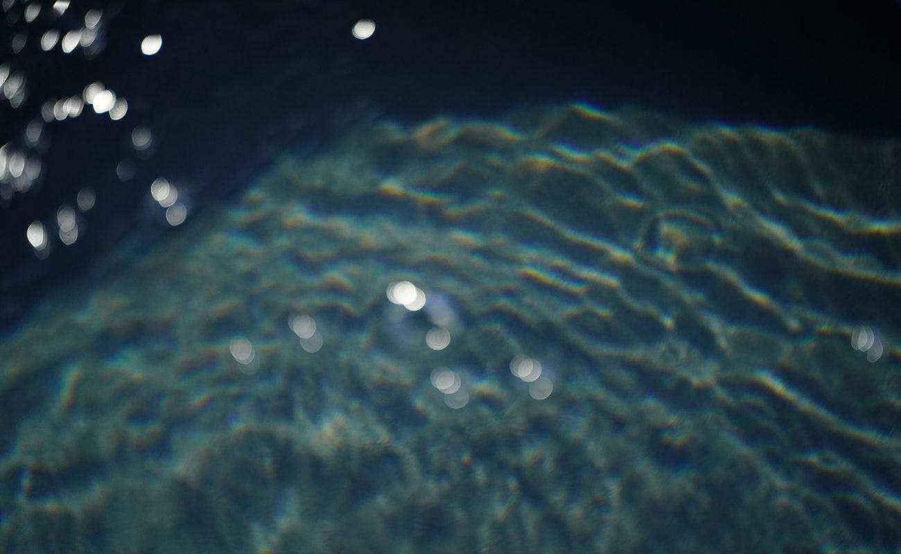 203空の花風呂02