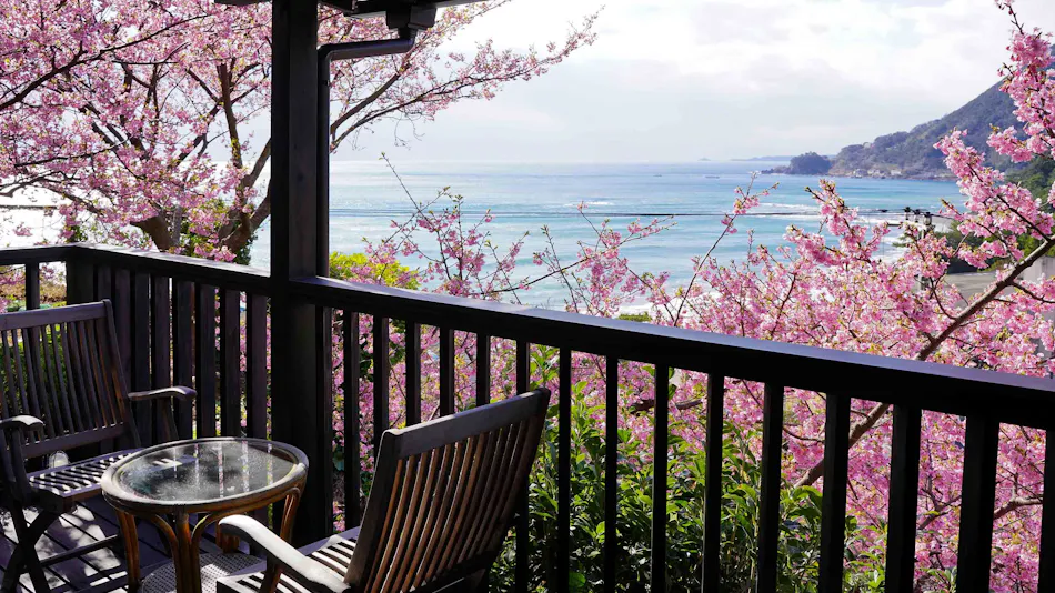 Imaihama Onsen Kirinokahori Sakuraku