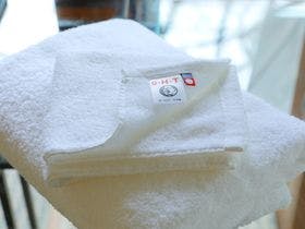 辰巳屋山荘　里の湯