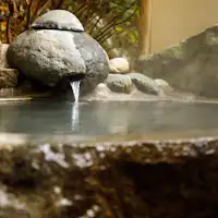 露天風呂付き離れ「花村」の露天風呂