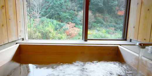大正屋 椎葉山荘