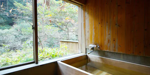 大正屋 椎葉山荘