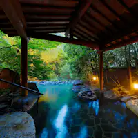 【Pemandian Air Panas Shiiba】