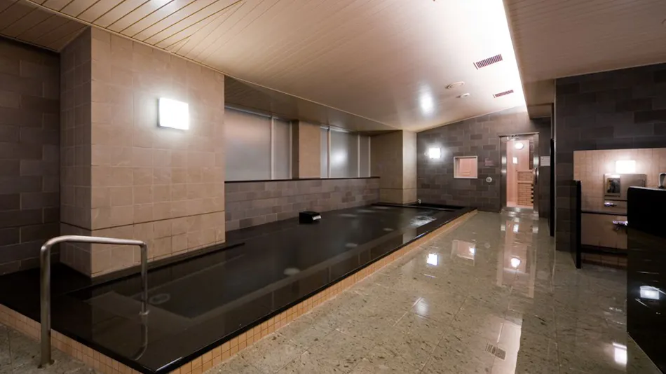 Maihama View Hotel by HULIC(Former: Tokyo Bay Maihama Hotel)