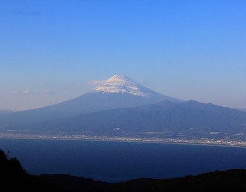 達磨山からの富士
