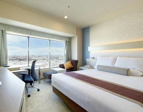 スカイビューダブルルーム（16.9平米）