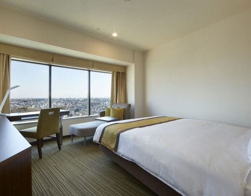 モデレートダブル（16.9平米）昼