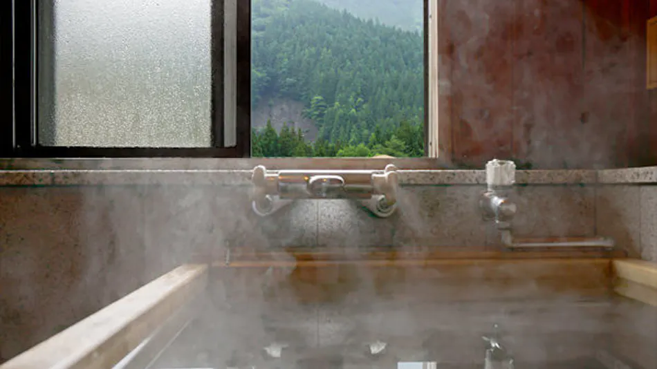Shima Tamura: A Hot Spring Paradise Inn