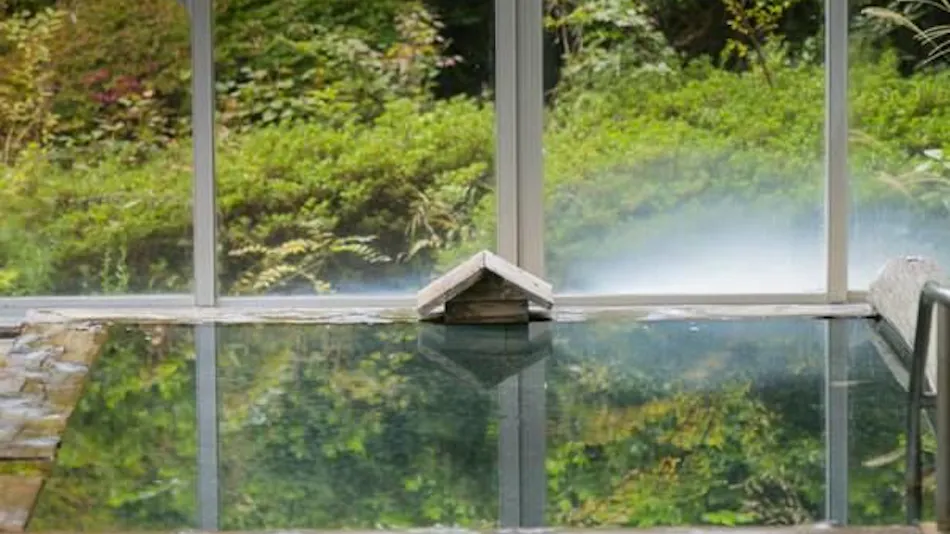 Shima Tamura: A Hot Spring Paradise Inn