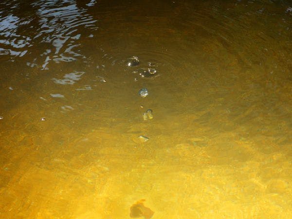 温泉三昧の宿　四万たむら