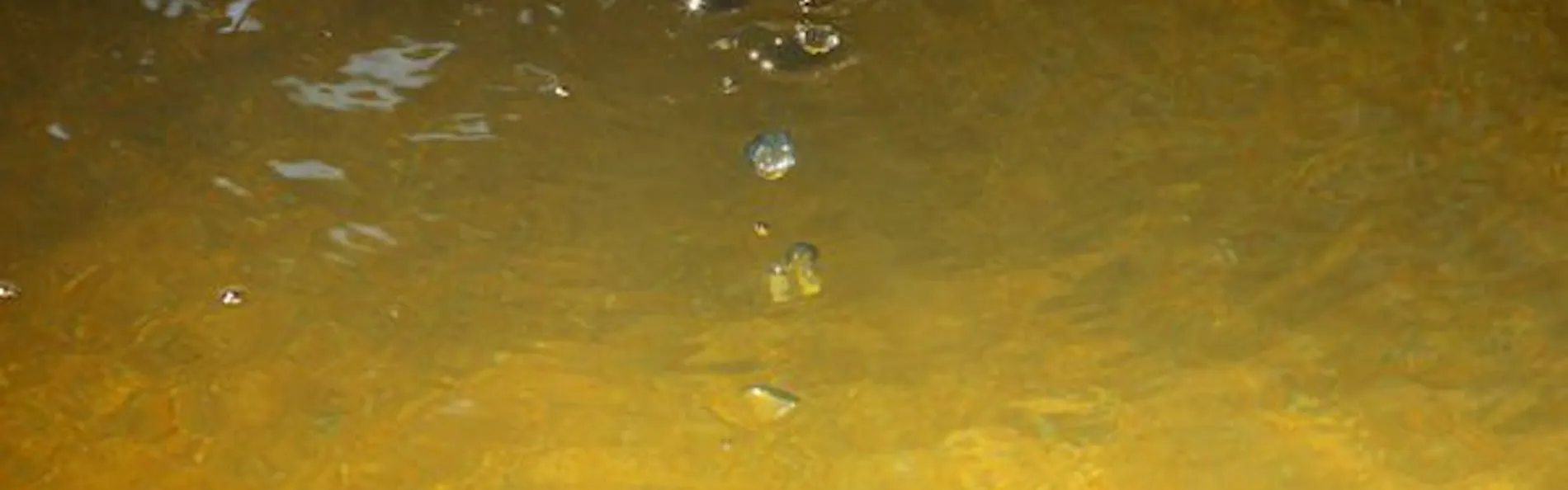 温泉三昧の宿 四万たむら