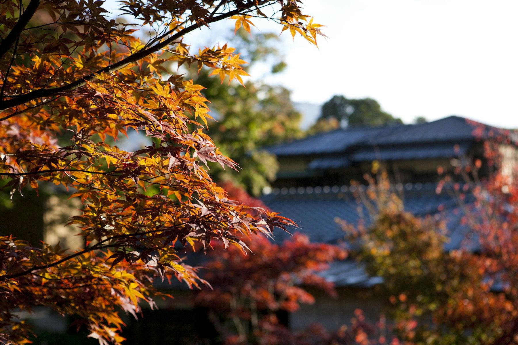 箱根・翠松園