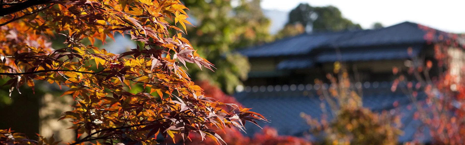 箱根・翠松園