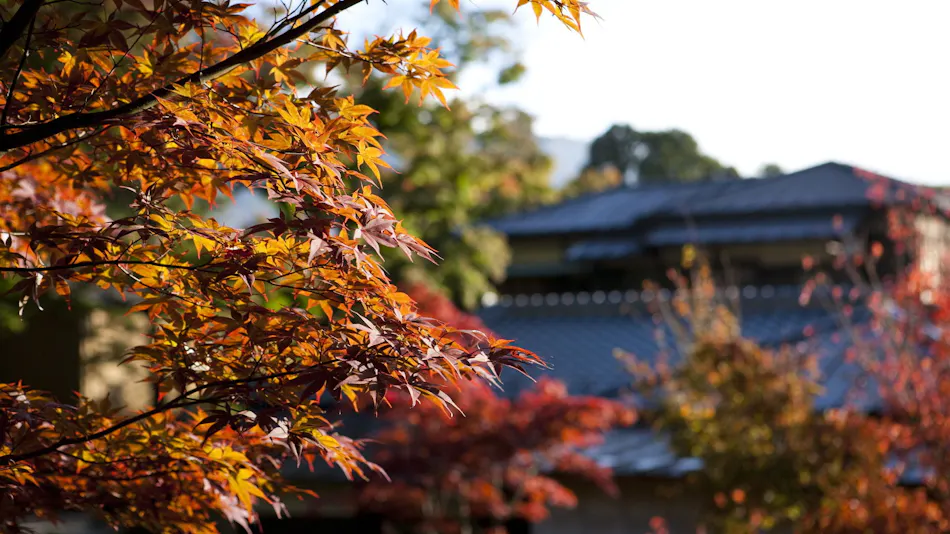 Hakone Suishoen