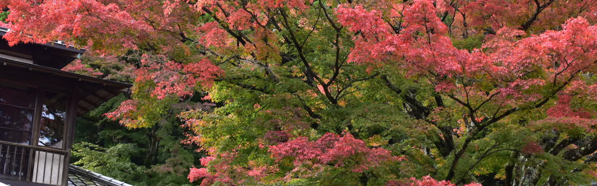 箱根・翠松園