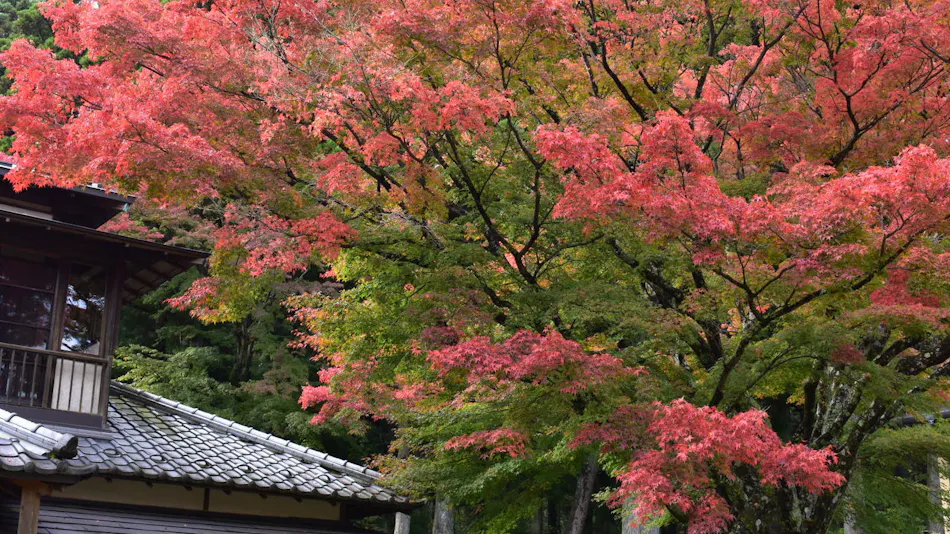 Hakone Suishoen
