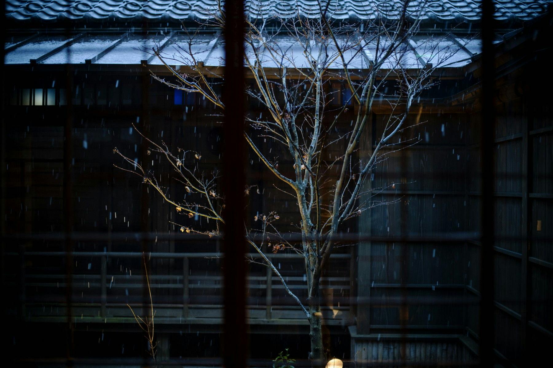 ร้านอาหาร 'โมมิจิ' - ทัศนียภาพภายนอกในคืนฤดูใบไม้ร่วง