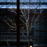 ร้านอาหาร 'โมมิจิ' - ทัศนียภาพภายนอกในคืนฤดูใบไม้ร่วง