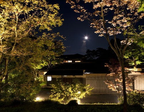 中庭 秋夜の風景