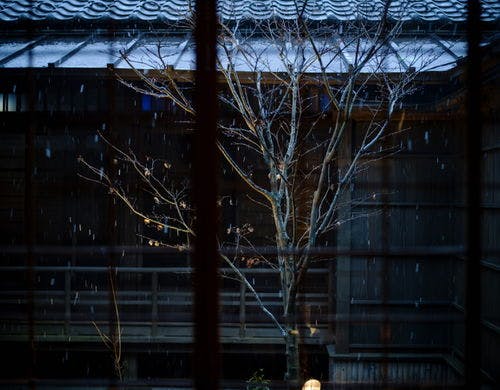 レストラン「紅葉」秋夜の外観