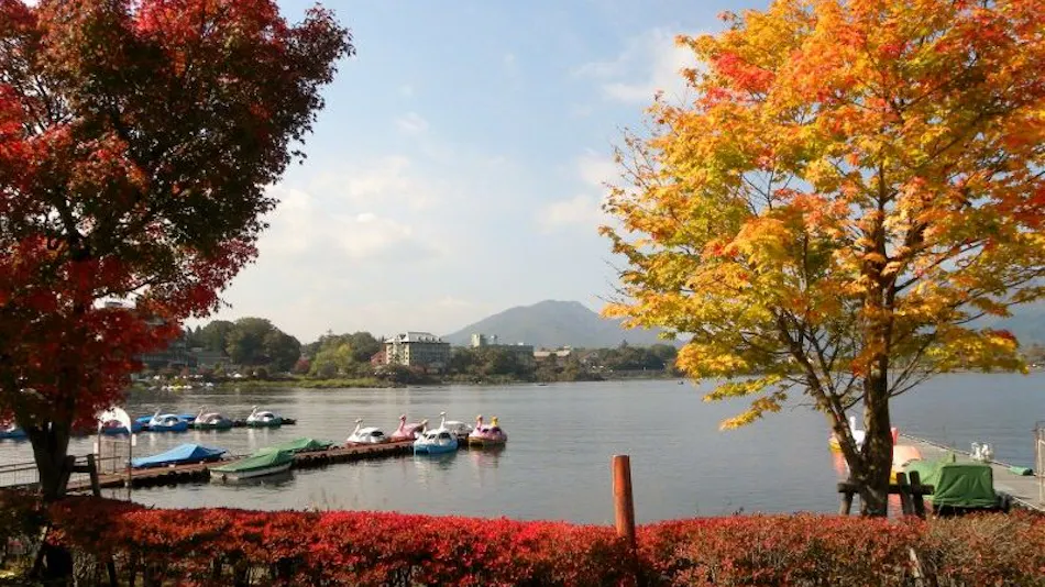 Fuji Lake Hotel