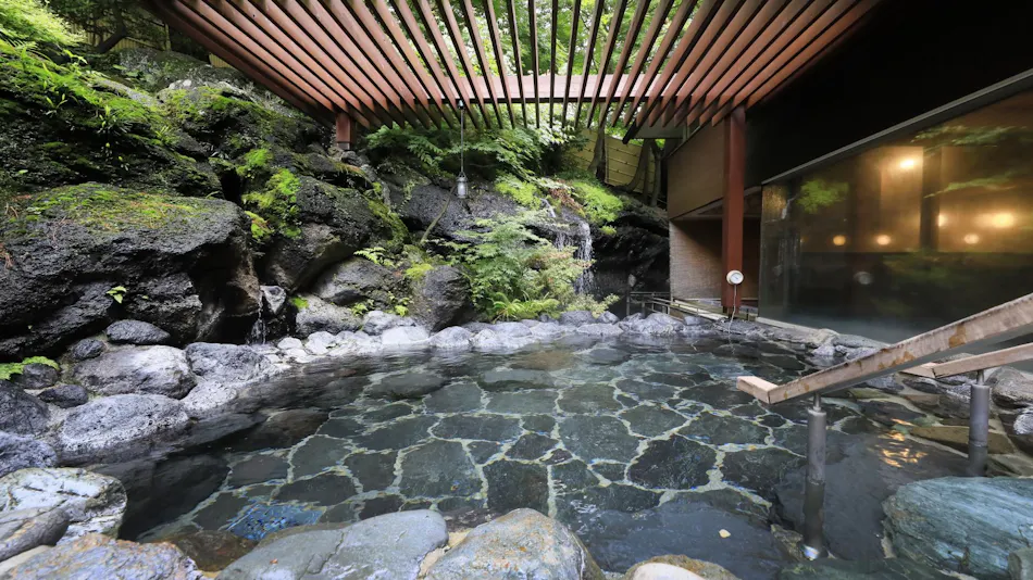 Fuji Lake Hotel