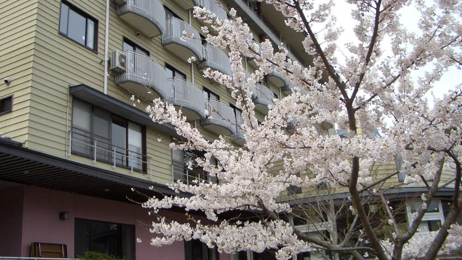 Fuji Lake Hotel