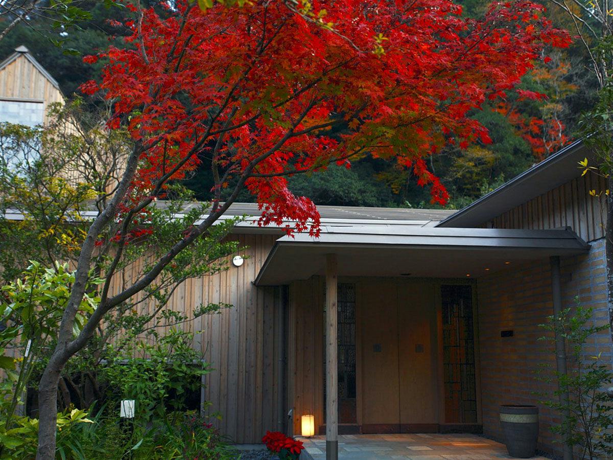 【秋旅｜9/1-12/15】紅葉と渓谷美に癒される、五感を整える森の離れで過ごすリトリート