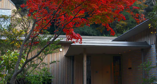 【秋旅|9/1-12/15】紅葉と渓谷美に癒される、五感を整える森の離れで過ごすリトリート