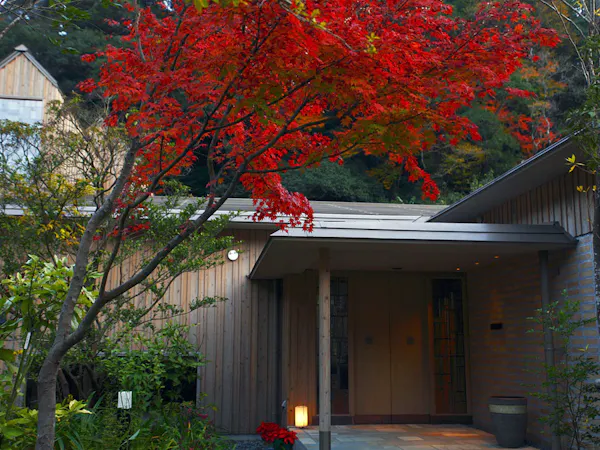 【秋旅|9/1-12/15】紅葉と渓谷美に癒される、五感を整える森の離れで過ごすリトリート