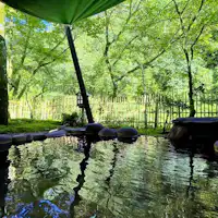 ออนเซ็นกลางแจ้งพร้อมเสียงลำธาร