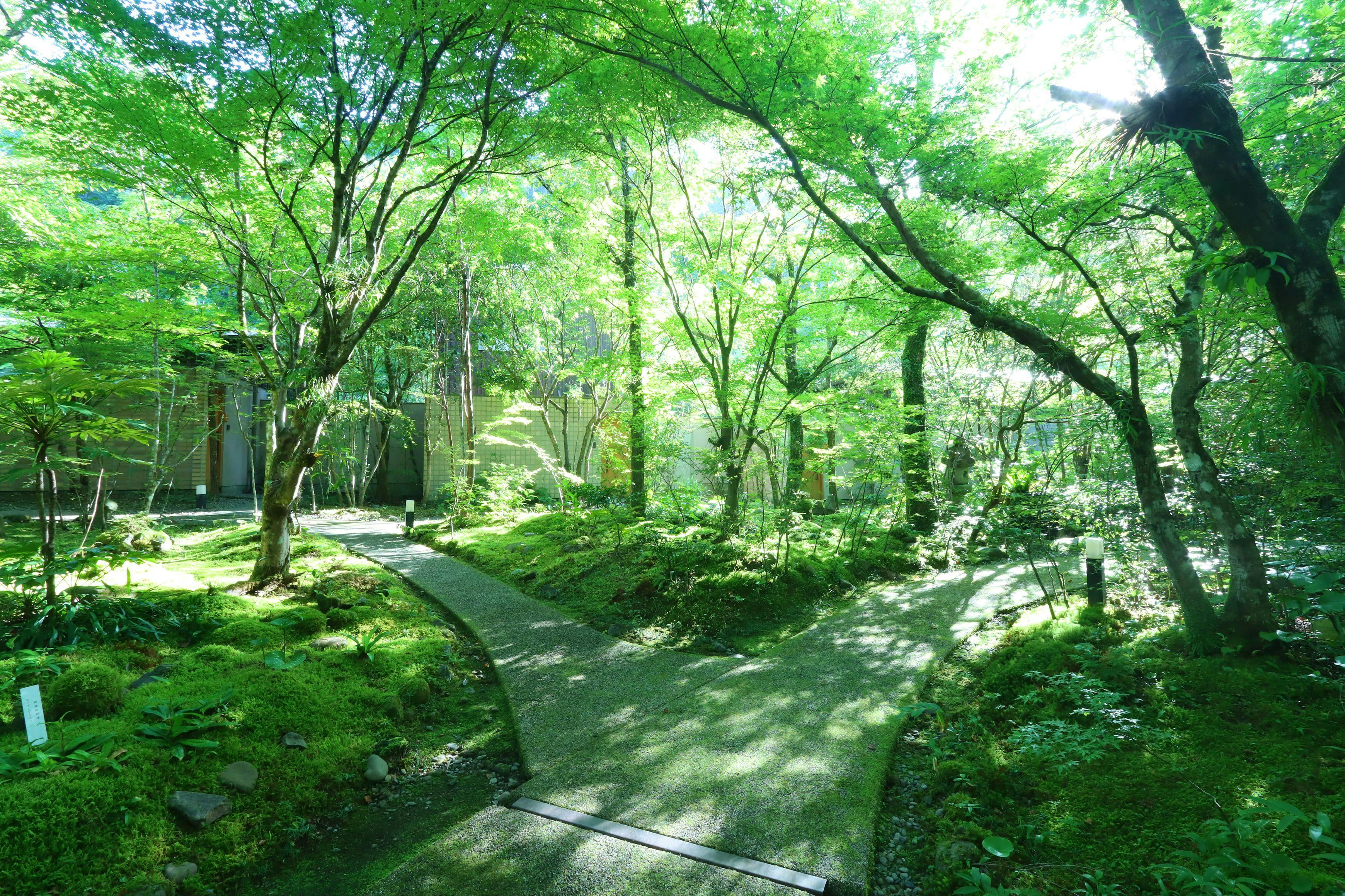 ภายนอกอาคาร