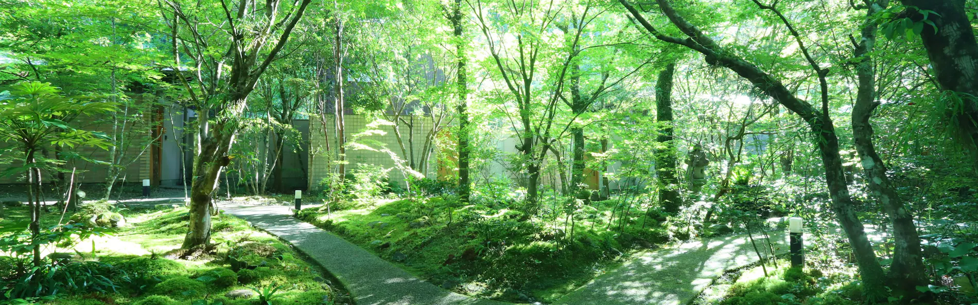 北郷 音色香の季 合歓のはな