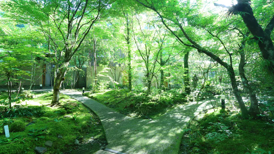 Kitago Neiroka no Toki Nemunohana