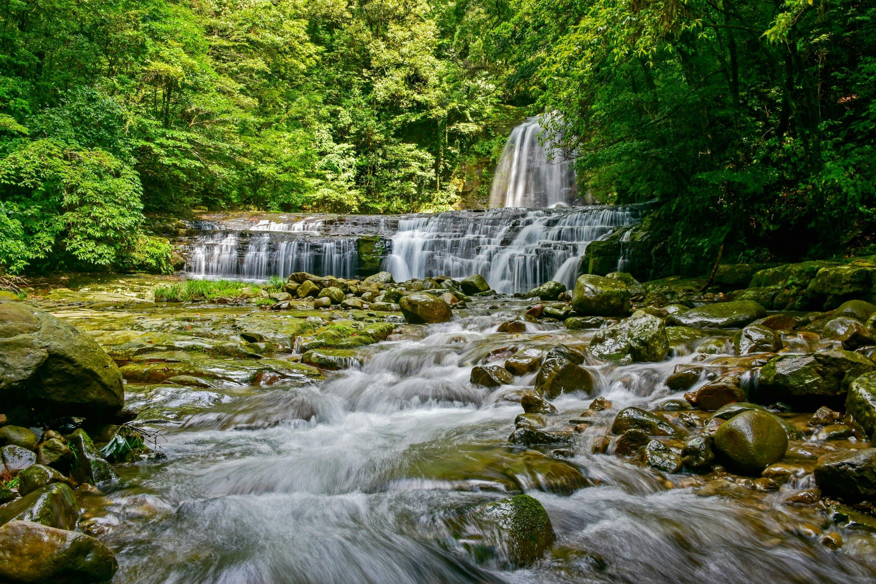 วิวทิวทัศน์