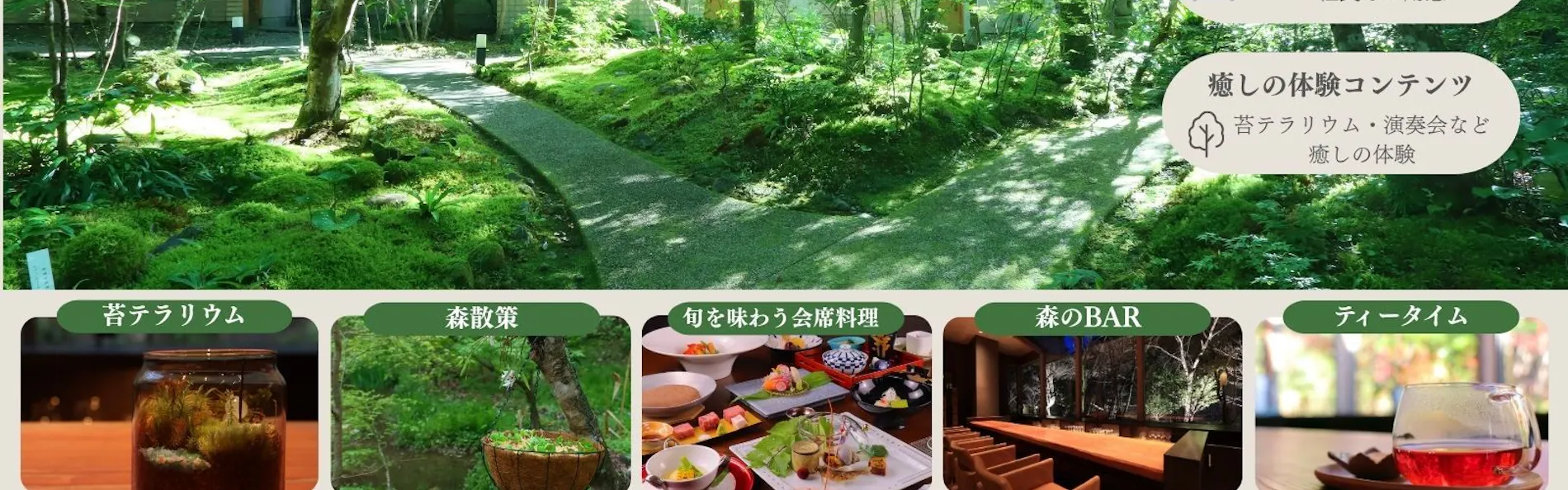 北郷 音色香の季 合歓のはな