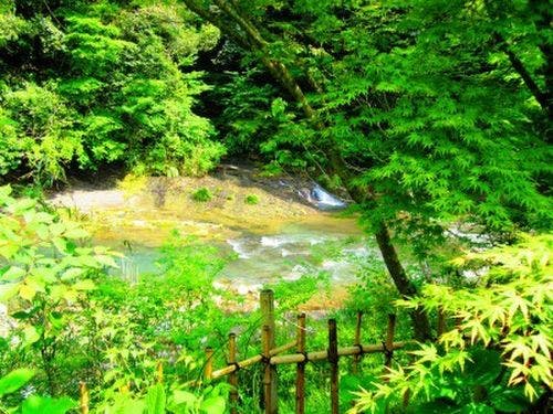 21年 宮崎県 会席料理 懐石料理を楽しめる口コミ高評価の温泉旅館 ホテル Biglobe温泉